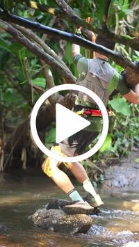 BIB:  <button type="button" onclick="openModal(27825670)" class="btn btn-primary btn-sm float-right" data-toggle="modal" data-target=".modal-high-quality">
                <i class="fa fa-download"></i> Download
                </button>